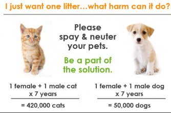 Afeez Badmos Real Estate blog